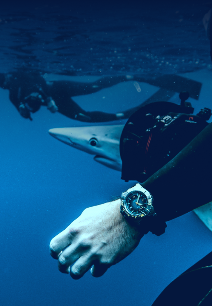 DELMA Blue Shark III Dive Watch with Shark in the background
